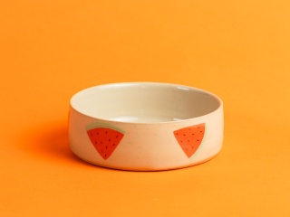 miska w arbuzy (1)